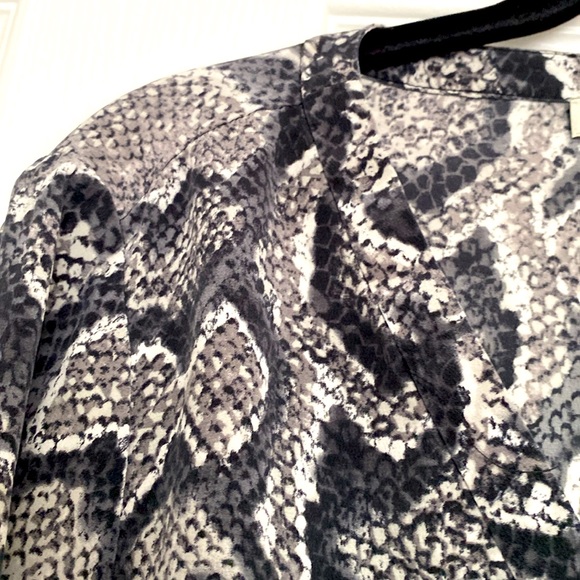 Joie silk vneck pullover blouse, long sleeves and buttons around wrist. Gorgeous - Picture 10 of 12